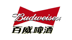 合作伙伴 合作伙伴